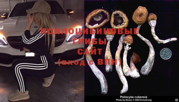 2c-b Арсеньев