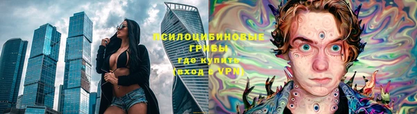 винт Аркадак