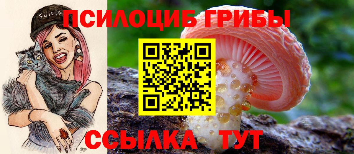 Псилоцибиновые грибы MAGIC MUSHROOMS Дедовск