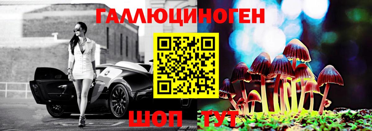 Галлюциногенные грибы Psilocybine cubensis  Вход с VPN  Галлюциногенные грибы ЛСД  Дедовск 